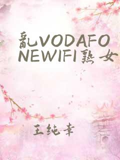 乱VODAFONEWIFI熟女