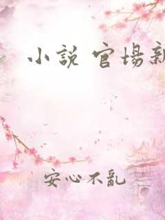 小说 官场新贵