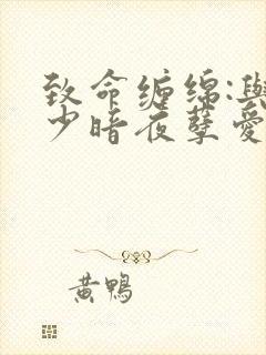 致命缠绵:与冷少暗夜孽爱