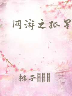 网游之孤星传说