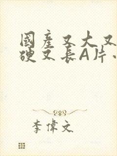 国产又大又粗又硬又长A片小说