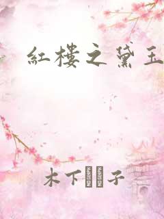 红楼之黛玉之弟