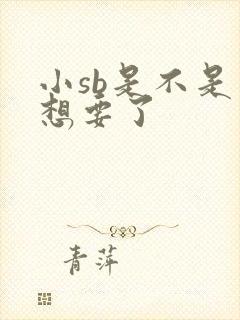 小sb是不是又想要了