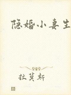 隐婚小妻生个娃