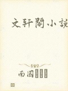 文轩阁小说网