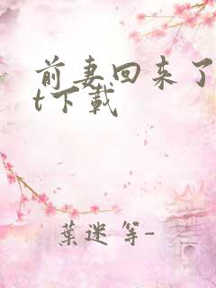 前妻回来了txt下载