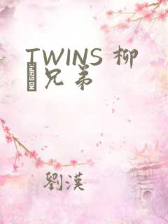 TWINS 柳澤兄弟