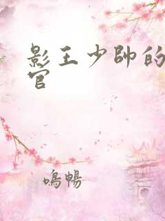 影王少帅的女长官