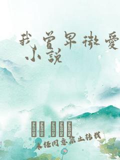 我曾卑微爱过你 小说