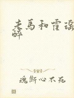 老马和霍瑶瑶喝醉