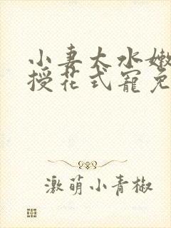 小妻太水嫩陆教授花式宠免费阅读 小说