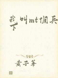 我叫mt佣兵天下