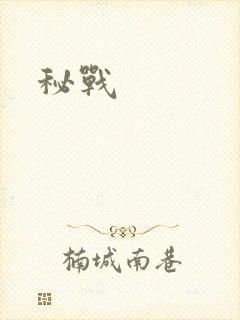 秘战