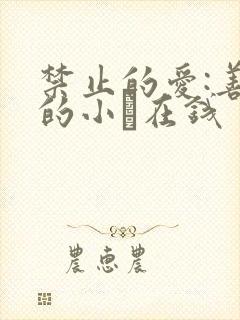 禁止的爱:善良的小峓在钱