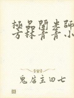 极品开光师李南方林青青小说叫