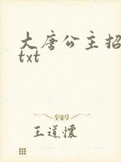 大唐公主招亲记txt