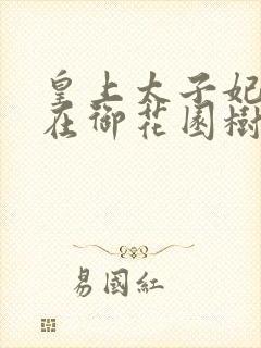 皇上太子妃沈音在御花园树上