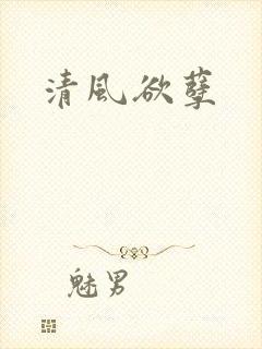 清风欲孽