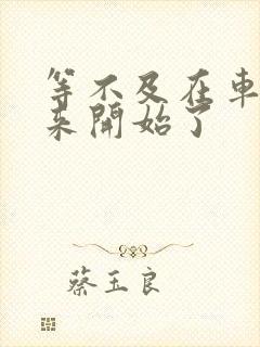 等不及在车里就来开始了