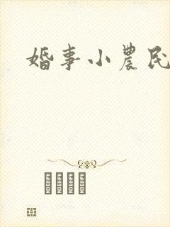 婚事小农民