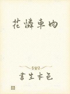 花怜车肉