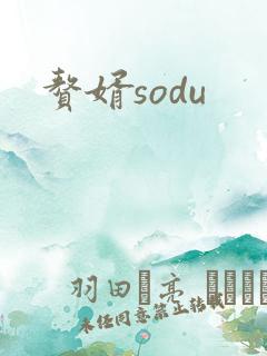 赘婿sodu