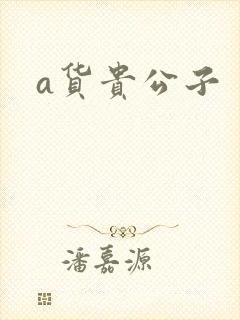 a货贵公子