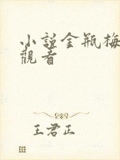 小说金瓶梅在线观看