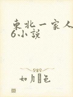 东北一家人1一6小说