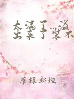 太满了...溢出来了装不下了