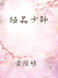 极品少帅