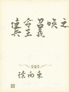 使命召唤之大炮兵主义