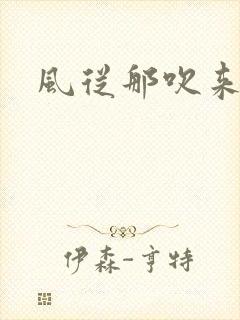 风从那吹来小说