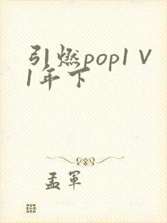 引燃pop1∨1年下