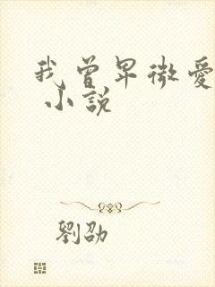 我曾卑微爱过你 小说