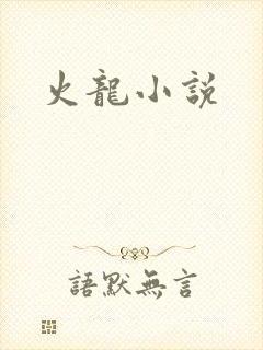 火龙小说
