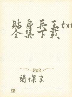 贴身兵王txt全集下载