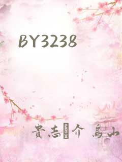 BY3238