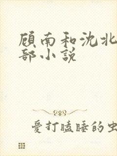 顾南和沈北是哪部小说