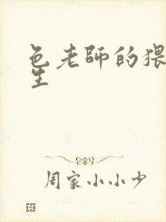 色老师的猥琐人生