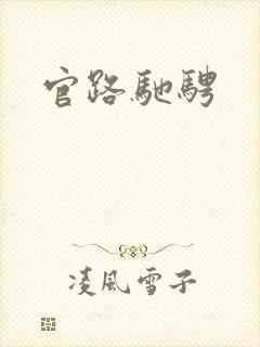 官路驰骋