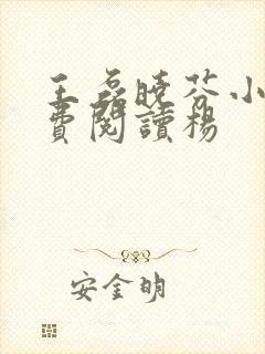 王磊晓芬小说免费阅读杨