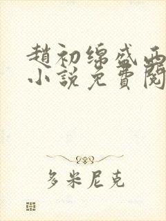 赵初绵盛西舫的小说免费阅读