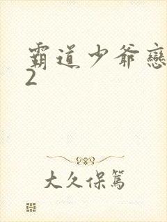 霸道少爷恋上我2