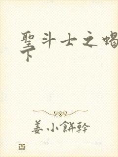 圣斗士之蝎行天下