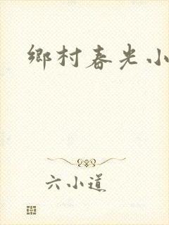 乡村春光小说