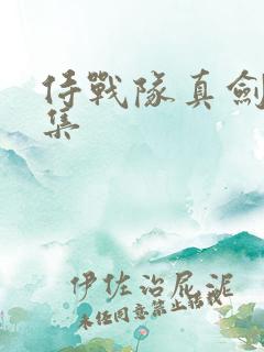 侍战队真剑者全集