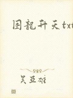 困龙升天txt