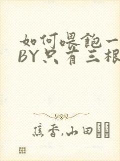 如何喂饱一只猫BY只有三根头发