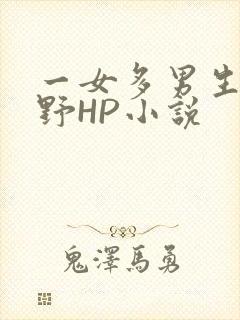 一女多男生活狂野HP小说